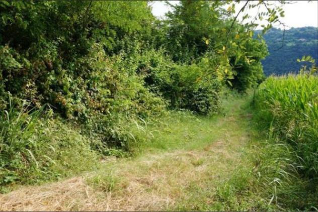 Immobile in asta di 40247 m² in vendita a Sovizzo - Foto 10
