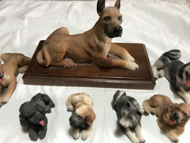 COLLEZIONE CANI - Foto 2