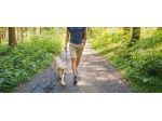 Dog sitter Dog walker Roma Centro Trastevere Prati