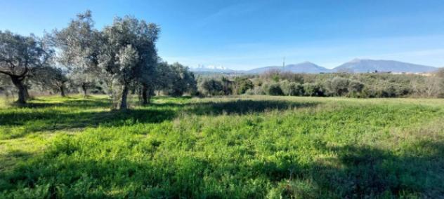Immobile in asta di 6583 m² in vendita a Nereto - Foto 8