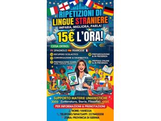Ripetizioni lingue straniere