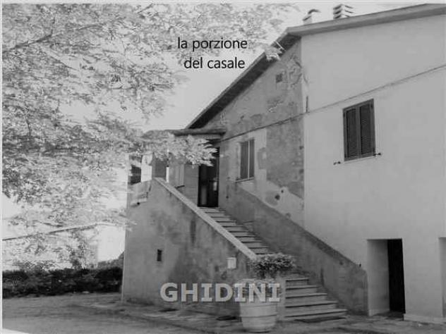 RUSTICO di 8 vani e di 200 mq (CAMPAGNATICO) rif. 2176.144M - Foto 2