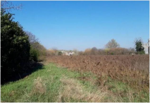 Immobile in asta di 13200 m² in vendita a Cremona - Foto 14
