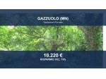 Immobile in asta di 415 m² in vendita a Gazzuolo