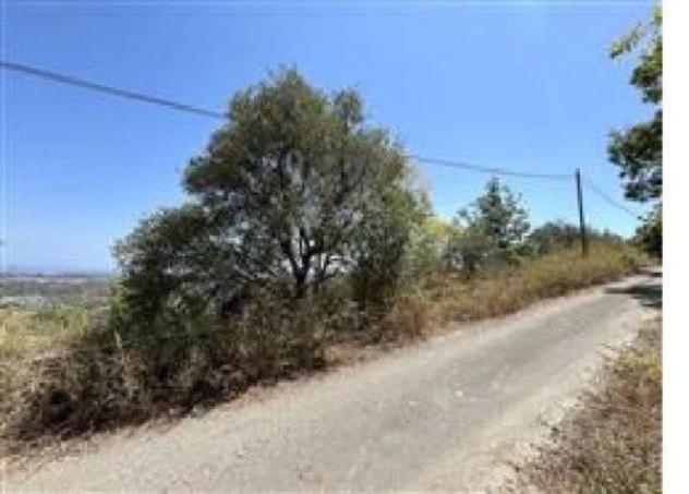 Immobile in asta di 920 m² in vendita a Merì - Foto 2