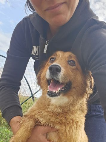 Stefi: 2 anni taglia contenuta - Foto 5