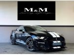 Ford Mustang Fastback 2.3 EcoBoost ALLESTIMENTO SHELBY