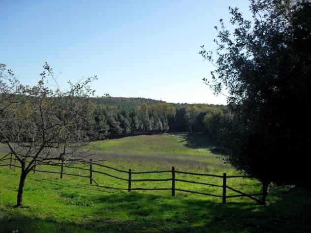 VILLA di 18 vani e di 700 mq (GAMBASSI TERME) rif. G 980 - Foto 5