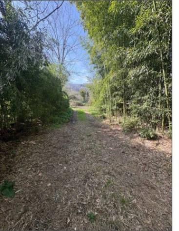 Immobile in asta di 129 m² in vendita a Borgo a Mozzano - Foto 3