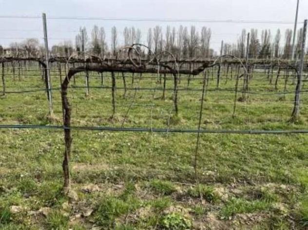 Immobile in asta di 25170 m² in vendita a Silea - Foto 2