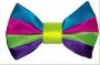 Negozio vendita articoli clown, animazione, parrucche, costumi, trucco - Foto 4