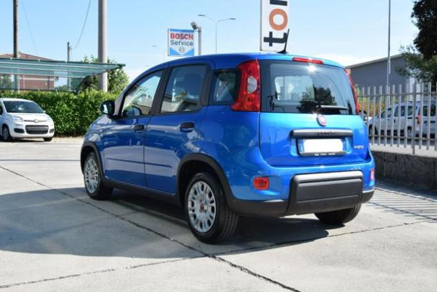 FIAT Panda 1.0 Firefly Hybrid 70cv S&S rif. 23944860 - Foto 4