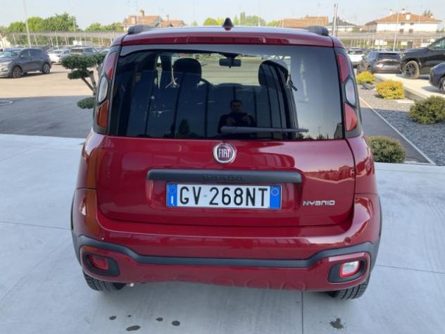 FIAT Panda 1.0 FireFly S&S Hybrid City Cross rif. 23757439 - Foto 7