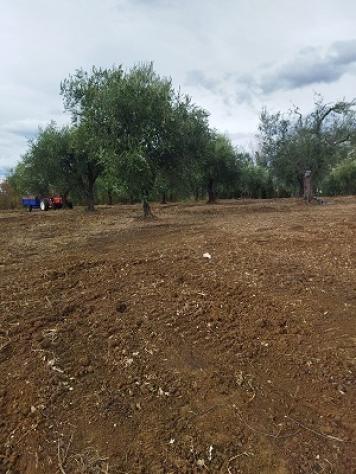 Terreno edificabile in vendita a Filetto - Foto 2