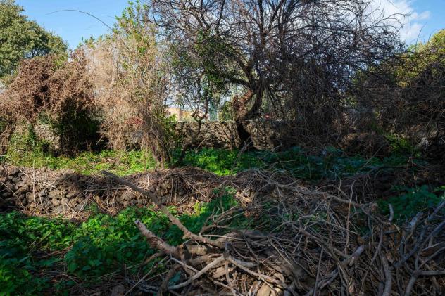 Terreno Edificabile in vendita a San Gregorio di Catania - Foto 10