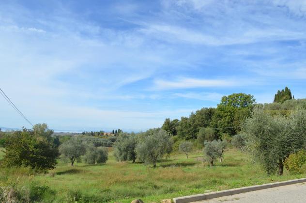 Villa in vendita a Montalcino - Foto 5