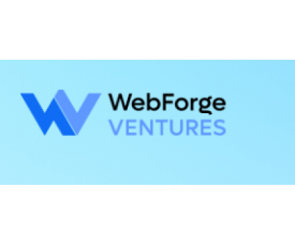 WEBFORGE VENTURES LLC