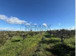 Terreno in vendita a Belpasso