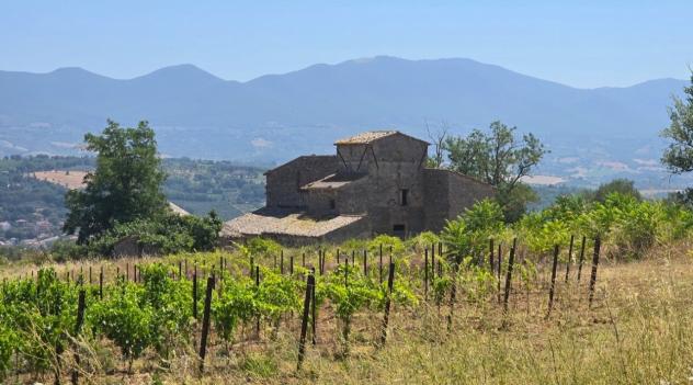 Casale in vendita a Orvieto - Foto 9