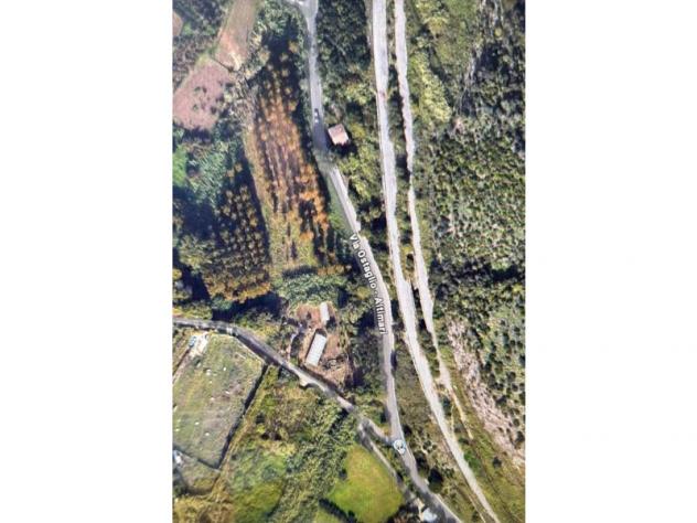 Agricolo in Via Trinità - Foto 4