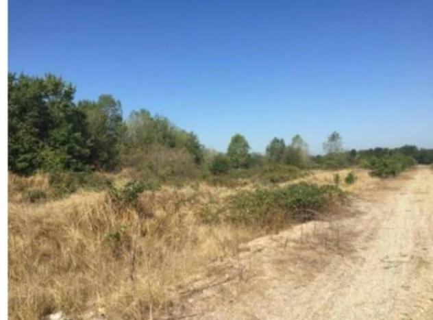 Immobile in asta di 56762 m² in vendita a Vigevano - Foto 9