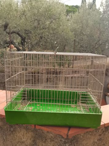 Gabbie da uccelli - Foto 8