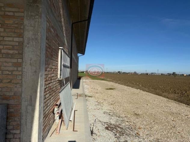 SAN GIORGIO (CAPC78): Capannone uso agricolo con annesso terreno agricolo. - Foto 5
