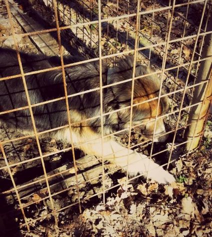 BLONDI, stupendo mix - Foto 3