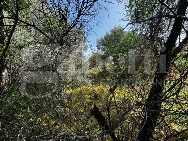 Terreno Residenziale - Nuxis . Rif.: Cod. rif 3144415VRG - Foto 6