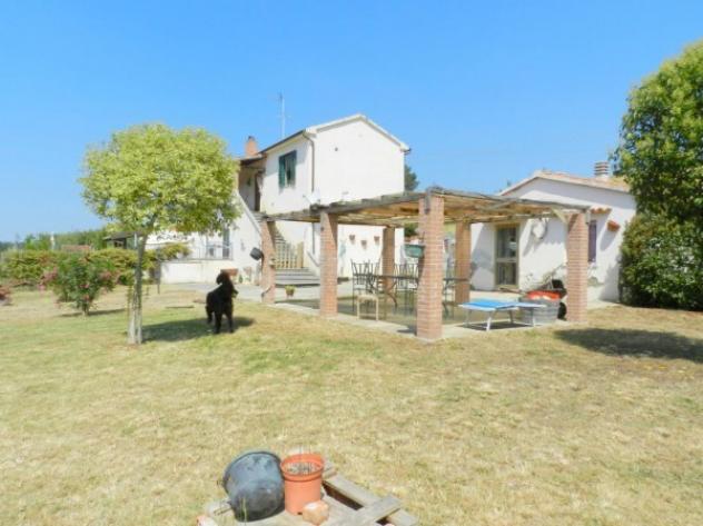 Open Space in vendita a Castellina Marittima