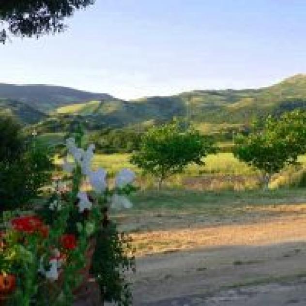 Agriturismo Sa Tanca Noa - Foto 3