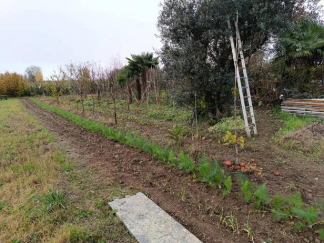 Immobile in asta di 8489 m² in vendita a Marcallo con Casone - Foto 7