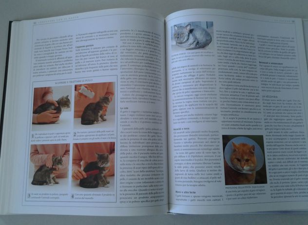 Il libro completo del gatto - Foto 9