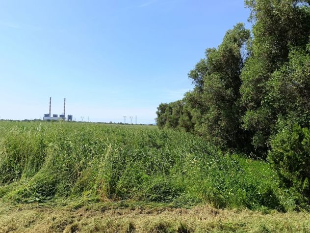 Bilocale annesso con terreno - Foto 5