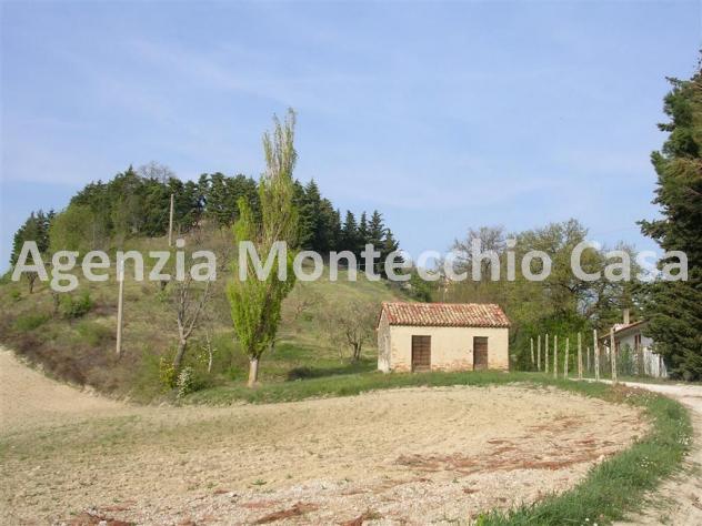 Terreno agricolo, bosco e capanno