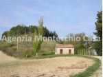 Terreno agricolo, bosco e capanno