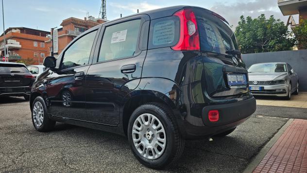 Fiat Panda 1.0 FireFly S&S Hybrid Pandina ICON KM0 REALE - Foto 5