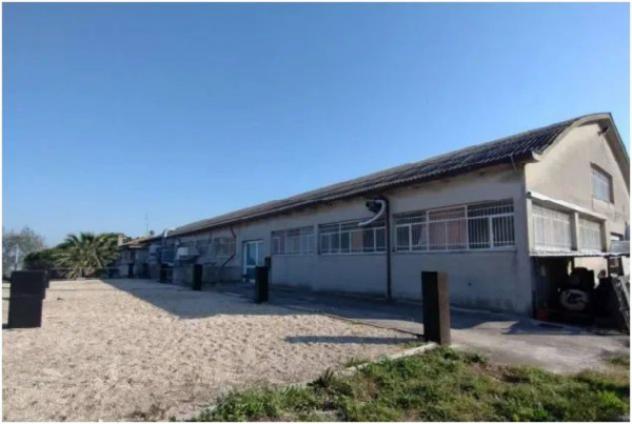 Immobile in asta di 35 m² in vendita a Sant'Elpidio a Mare - Foto 4