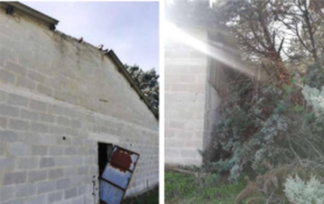 Immobile in asta di 35 m² con più di 5 locali in vendita a Banzi - Foto 6