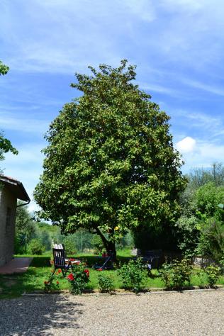 Villa in vendita a Pieve a Bozzone - Siena 292 mq Rif: 1365751 - Foto 5