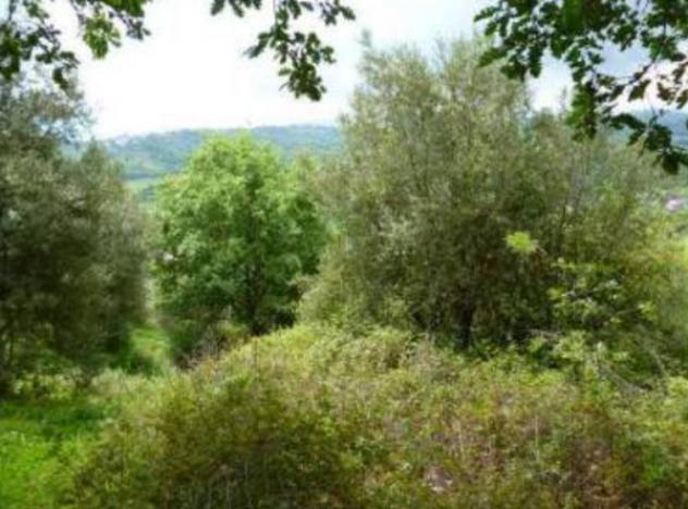 Immobile in asta di 28736 m² in vendita a Rende - Foto 2