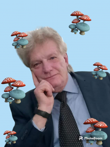 Cerco lavoro di aiuto cuoco o cameriere