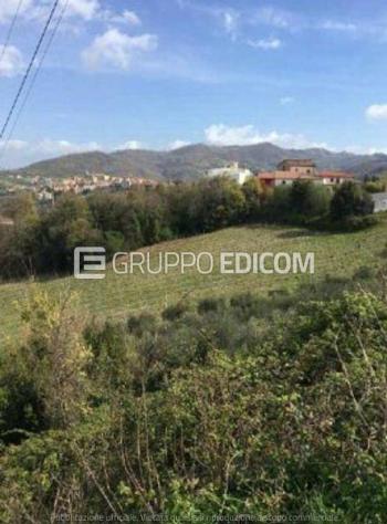 Terreno di 20393 mq in vendita a Chianche - Rif. 4551908 - Foto 3