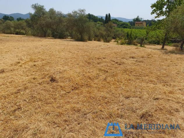 Terreno agricolo in vendita a Lamporecchio 10000 mq Rif: 1362349 - Foto 5