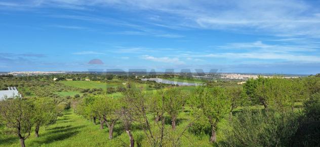 Terreno in vendita a Noto - Foto 3