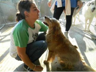 SUSIO, mix golden formato mignon