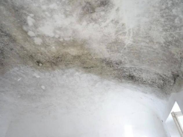 Immobile in asta di 240 m² con più di 5 locali in vendita a Ottobiano - Foto 5