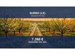 Immobile in asta di 5700 m² in vendita a Surbo