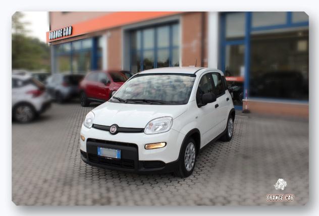 FIAT Panda 3ª serie Panda 1.0 FireFly S&S Hybrid