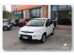 FIAT Panda 3ª serie Panda 1.0 FireFly S&S Hybrid